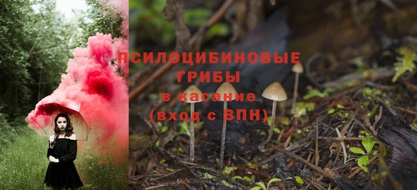 стаф Алексеевка