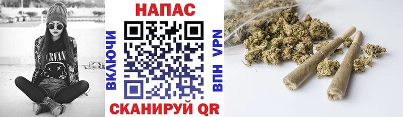 Канабис план Сельцо